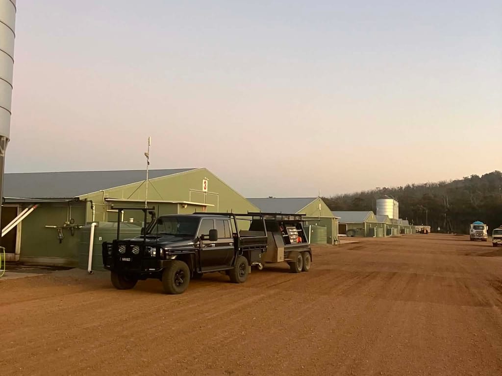 Commercial poultry shed complex at dusk, built by Mark Collins Builder